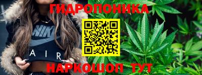 дживик Камышлов