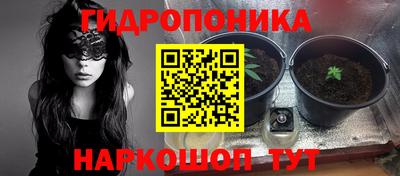 бошки Канаш