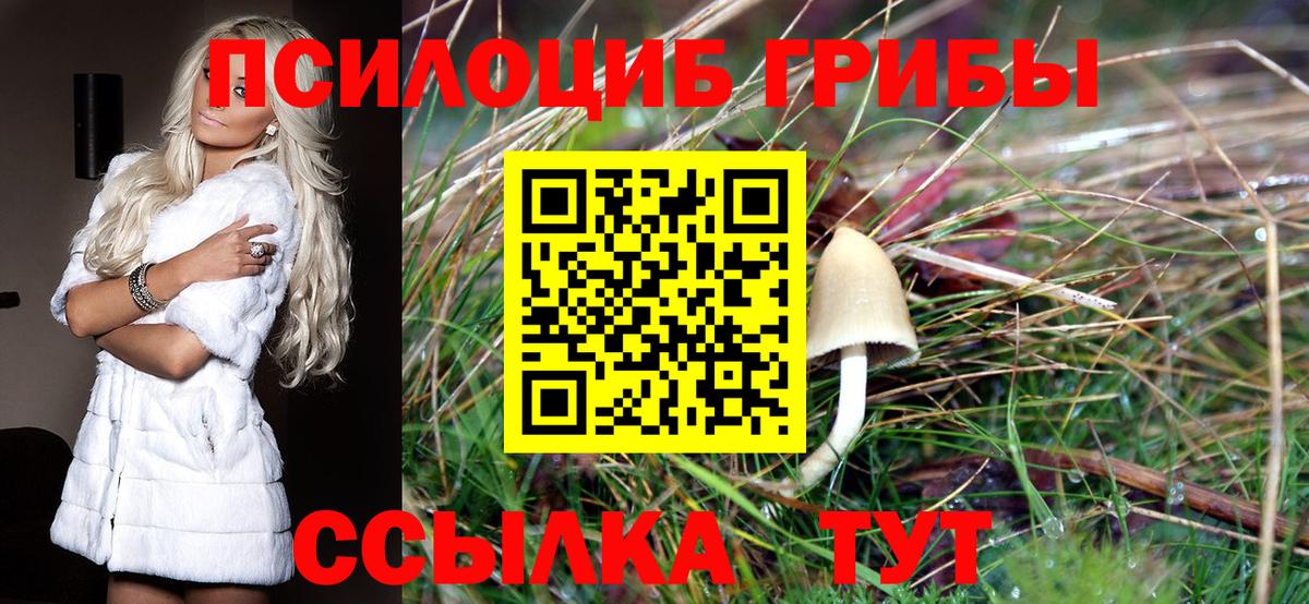Куйбышев  Псилоцибиновые грибы прущие грибы  Вход с VPN  Галлюциногенные грибы GOLDEN TEACHER 
