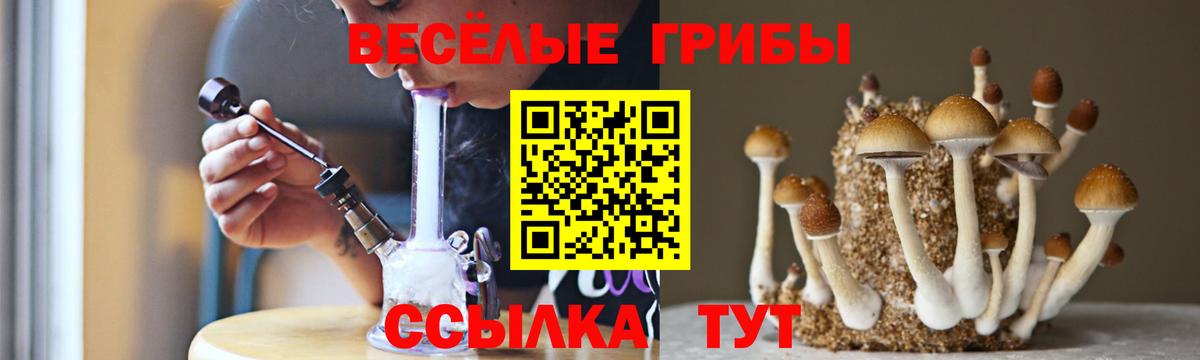 Псилоцибиновые грибы Magic Shrooms Куйбышев